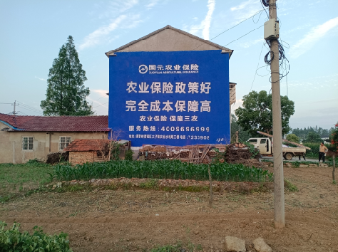 吉水墙体广告为何受追捧?